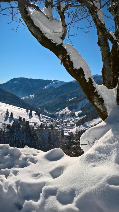 Das Hochkoenig Dienten am Hochkönig Eksteriør billede