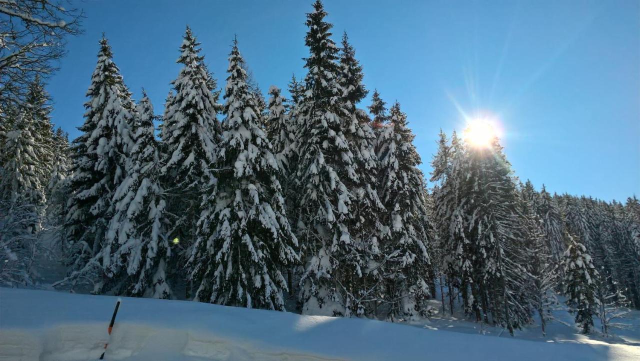Das Hochkoenig Dienten am Hochkönig Eksteriør billede