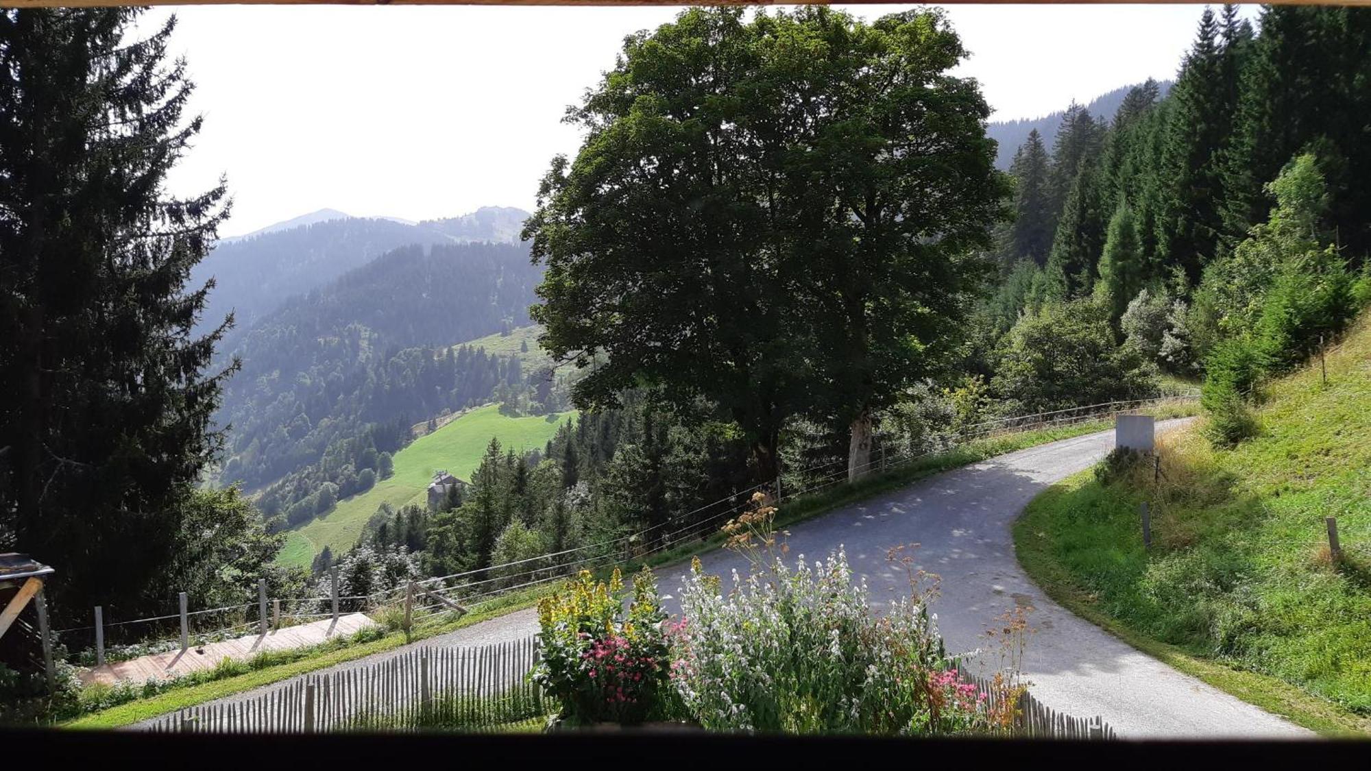 Das Hochkoenig Dienten am Hochkönig Eksteriør billede