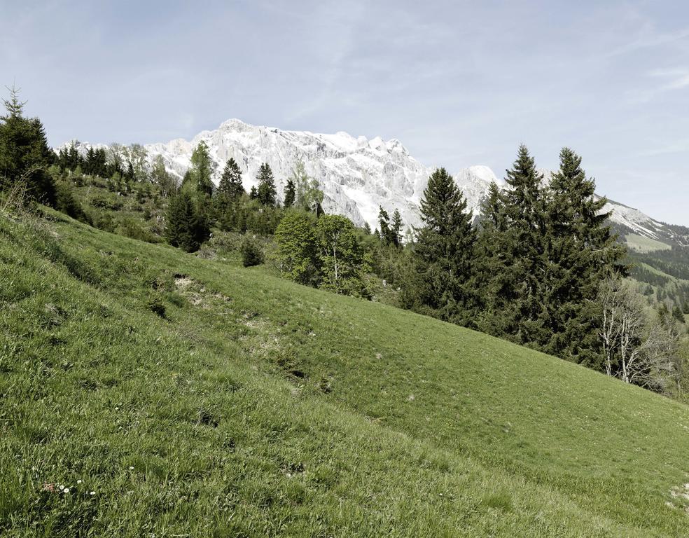 Das Hochkoenig Dienten am Hochkönig Eksteriør billede