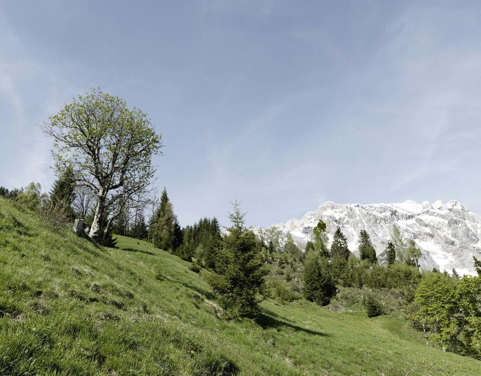 Das Hochkoenig Dienten am Hochkönig Eksteriør billede